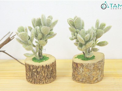 Chậu sen đá giả để bàn chậu gốc cây số 90